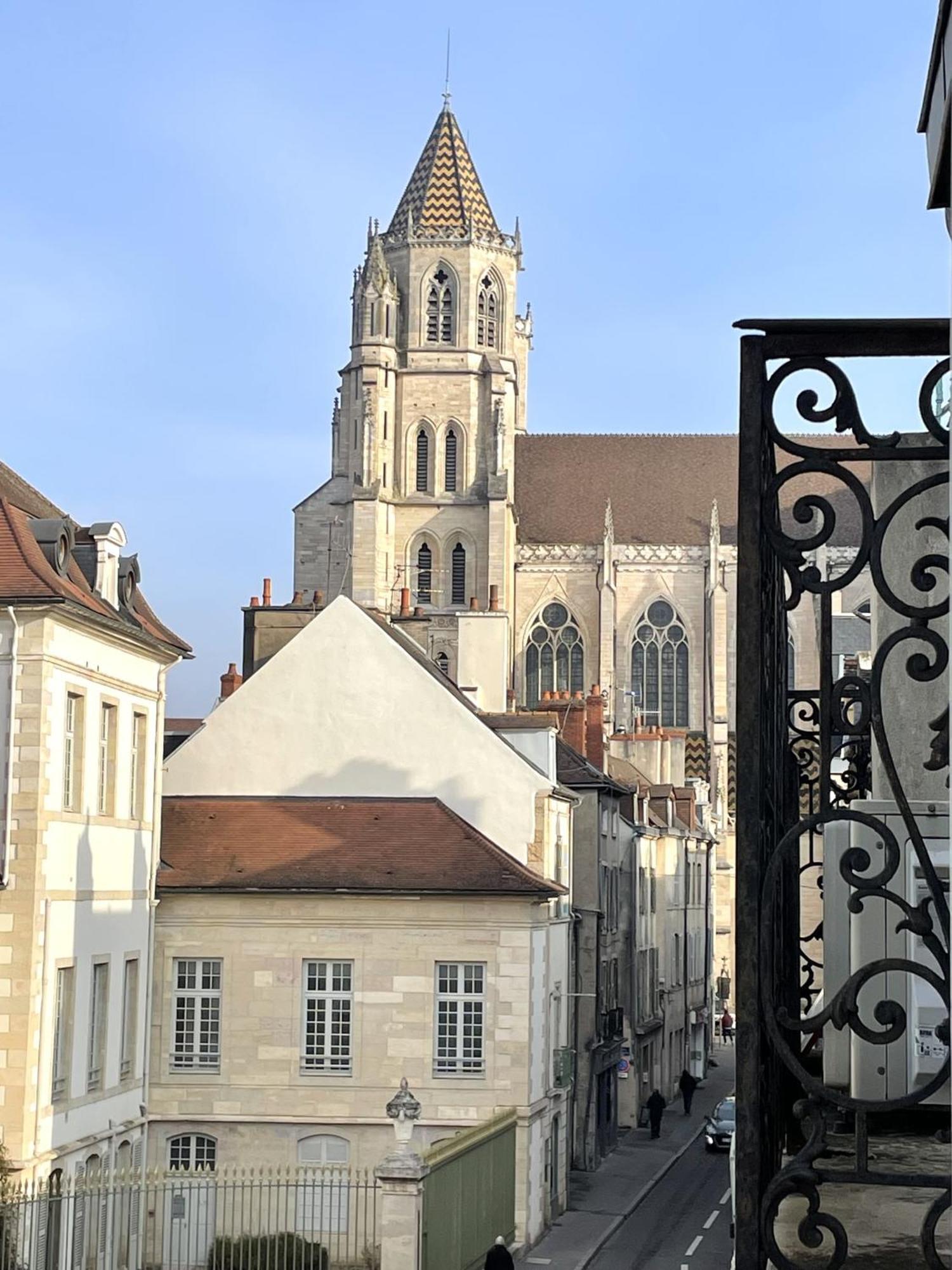 Sous Le Chene Bleu - Appartement Cosy Au Coeur De Dijon Eksteriør bilde
